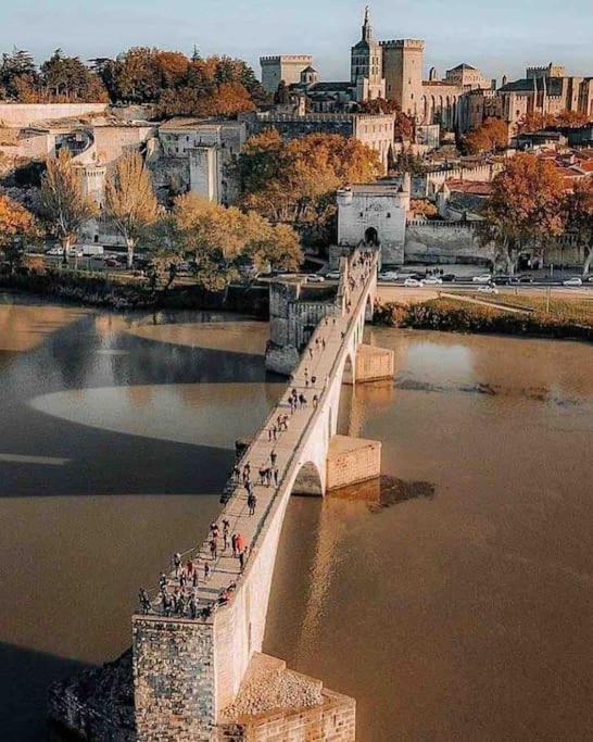 Le Saint-Lazare Appartement Au Calme Intra Muros Avignon Exteriér fotografie